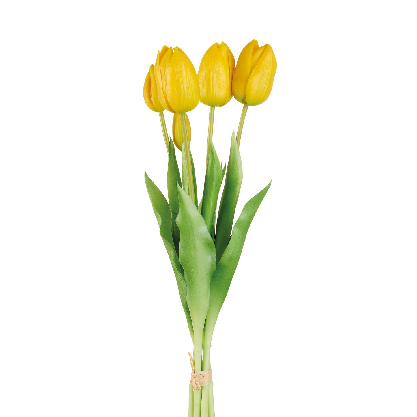 TULIPANI GIALLI