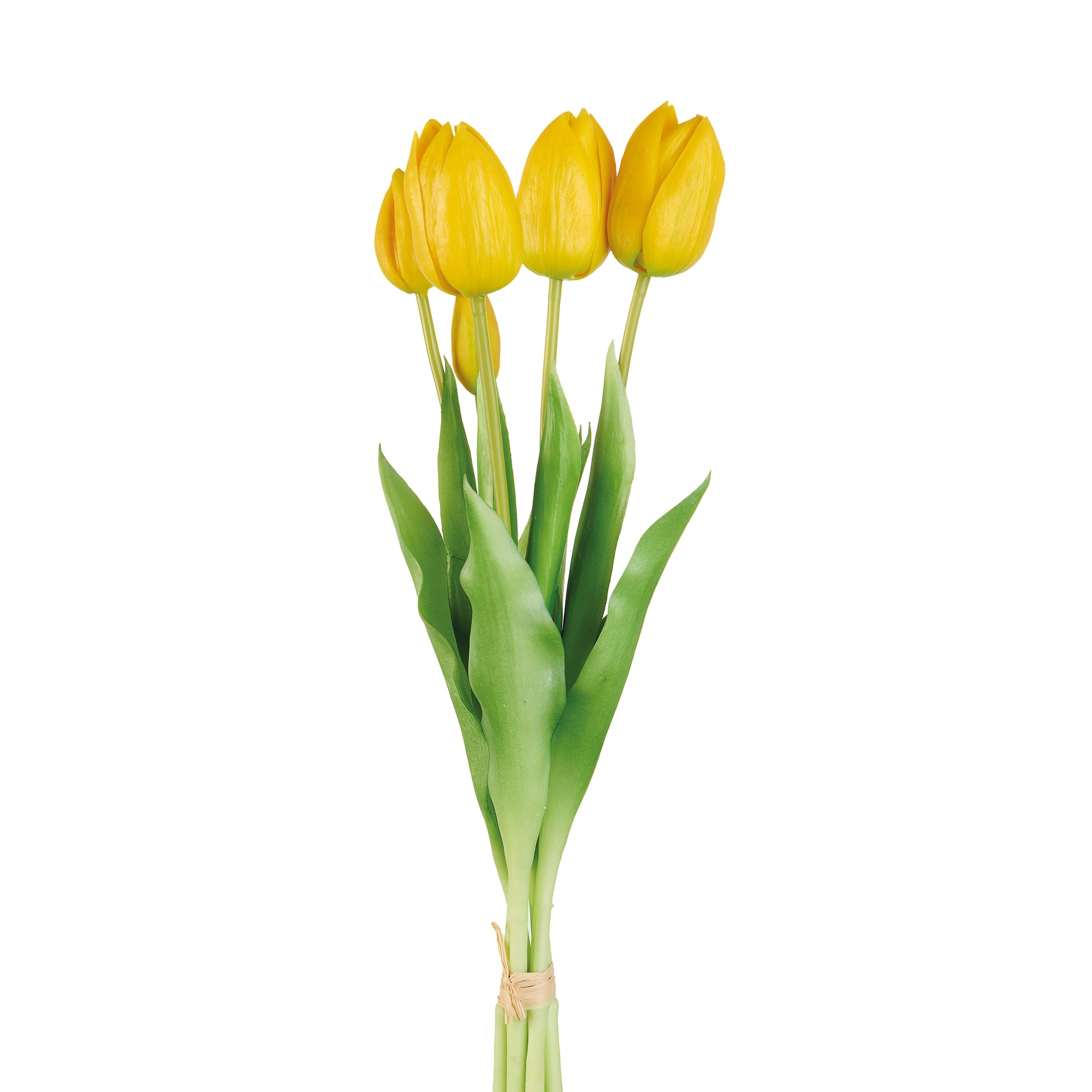 TULIPANI GIALLI