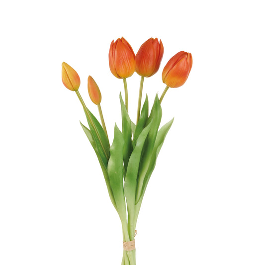 TULIPANI ARANCIONI