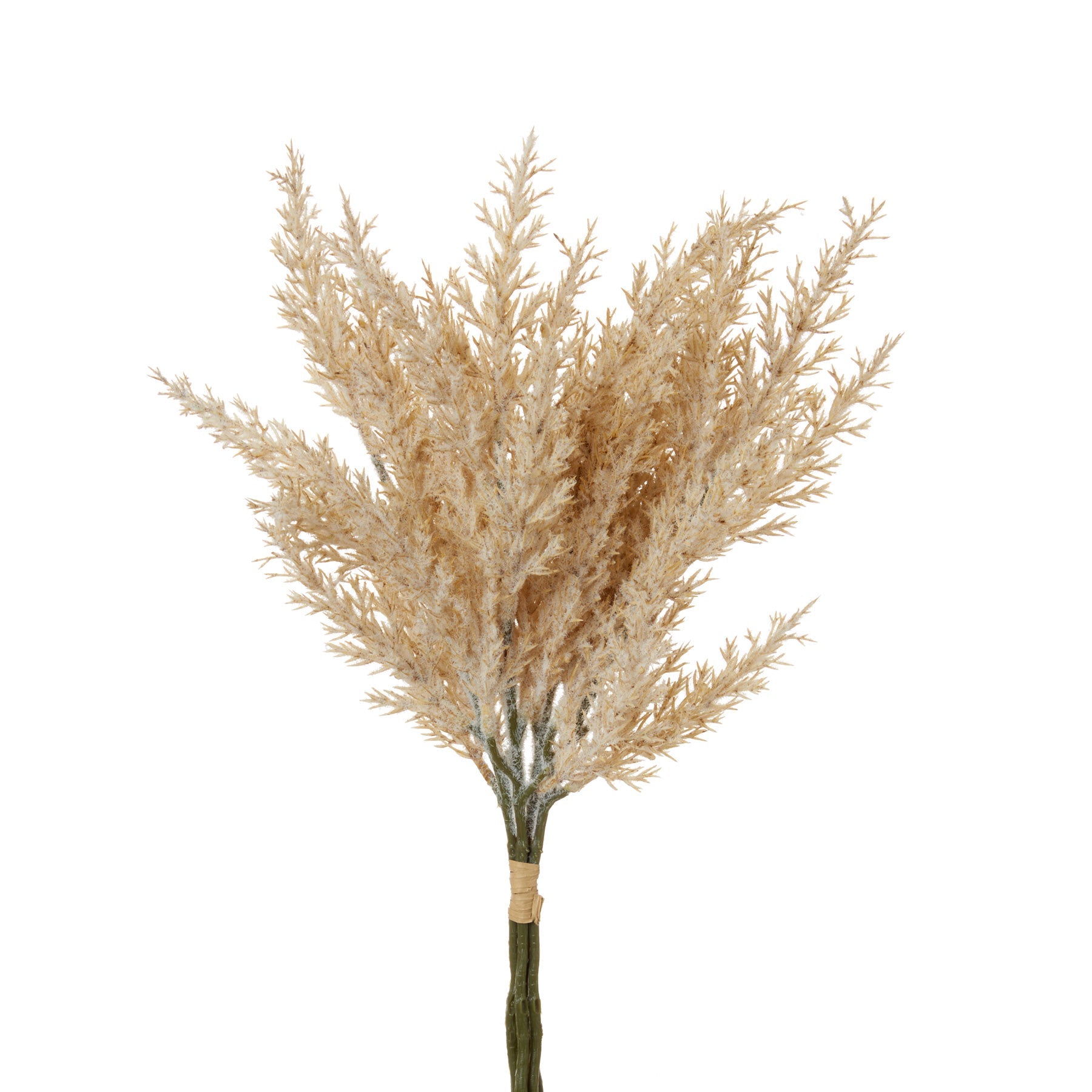 GINEPRO NATURALE