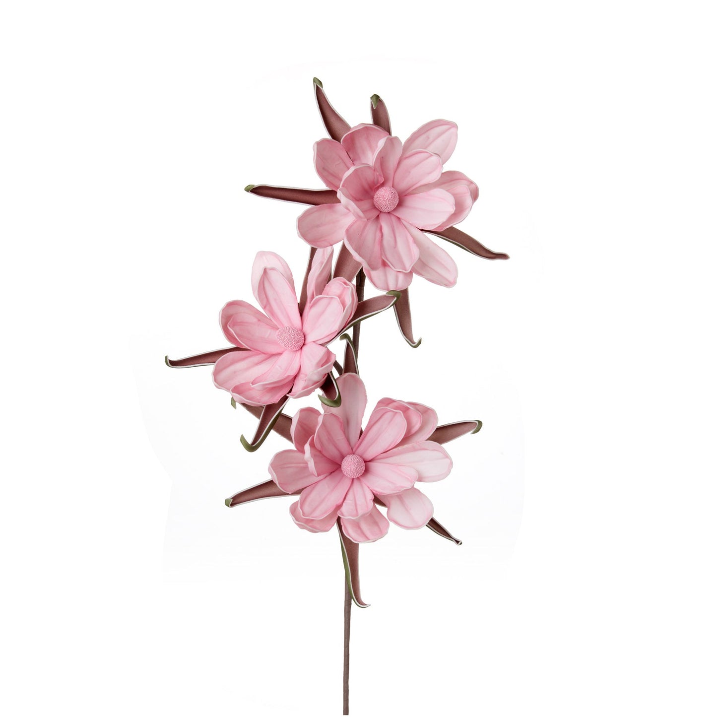 BOMBAX CEIBA ROSA