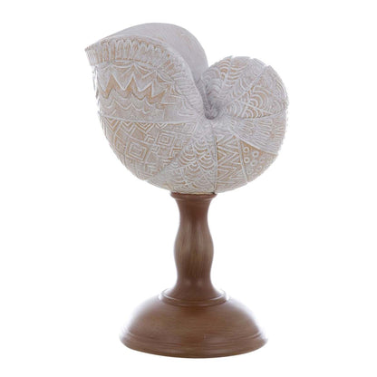 DECORO CONCHIGLIA "ANEMONE" di BLANC MARICLO'